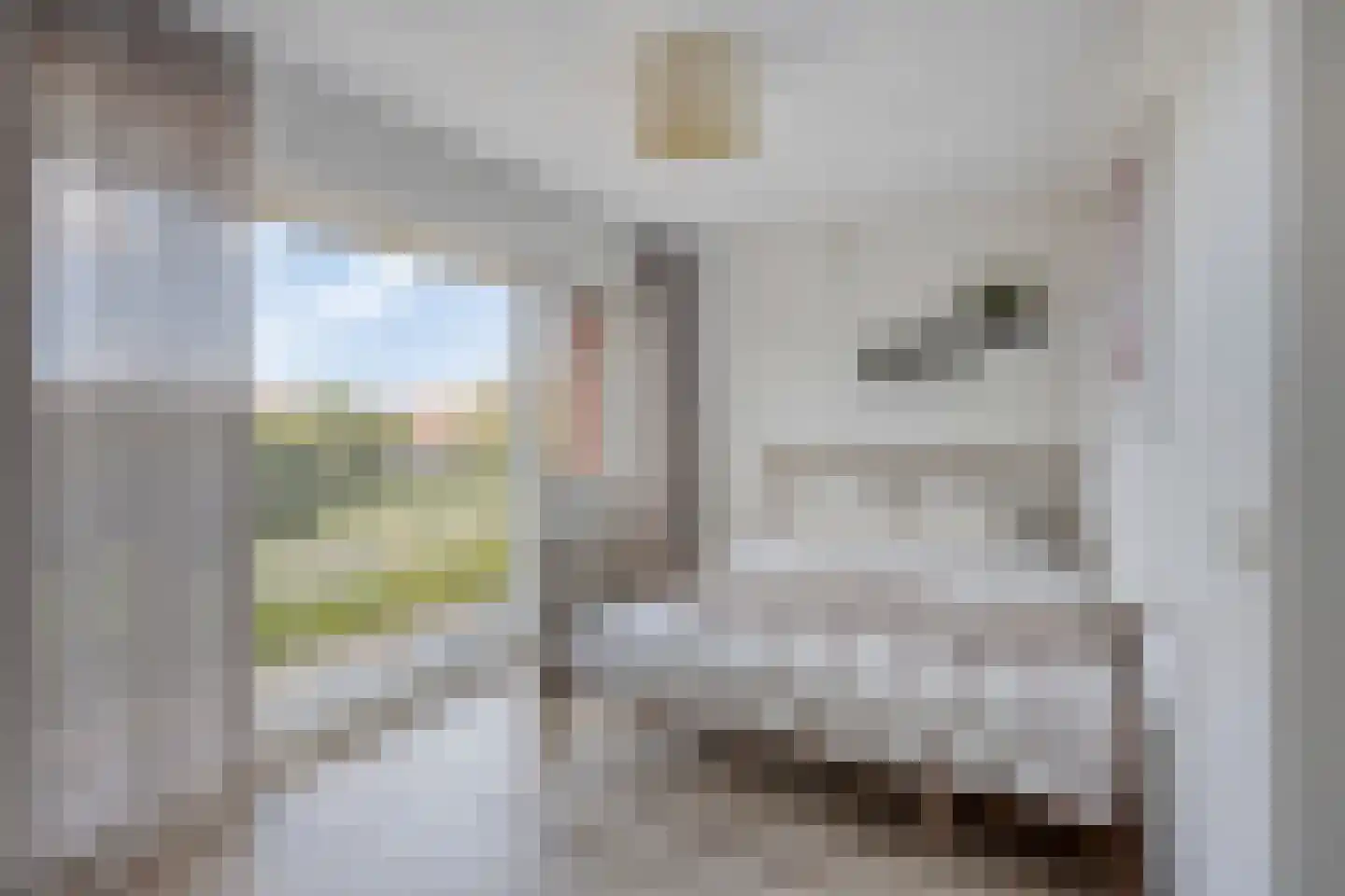 Kastanjelaan 80 Oosterhout thumbnail 16