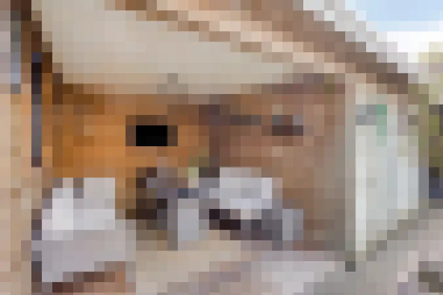 Kastanjelaan 80 Oosterhout thumbnail 26