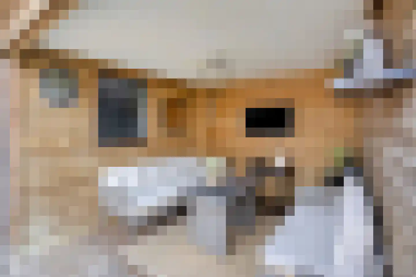 Kastanjelaan 80 Oosterhout thumbnail 27