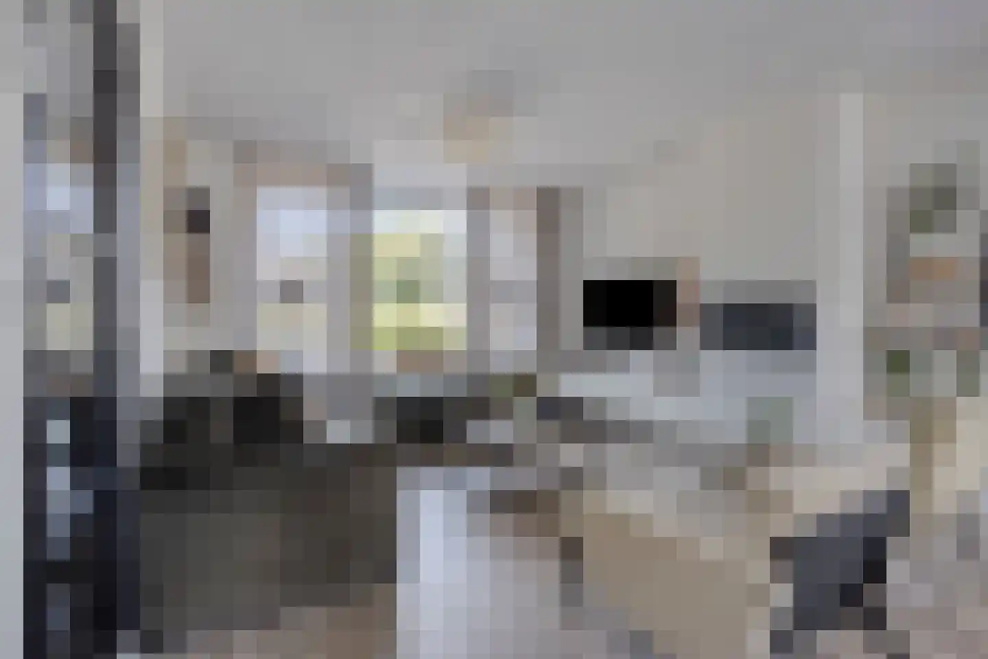 Kastanjelaan 80 Oosterhout thumbnail 5