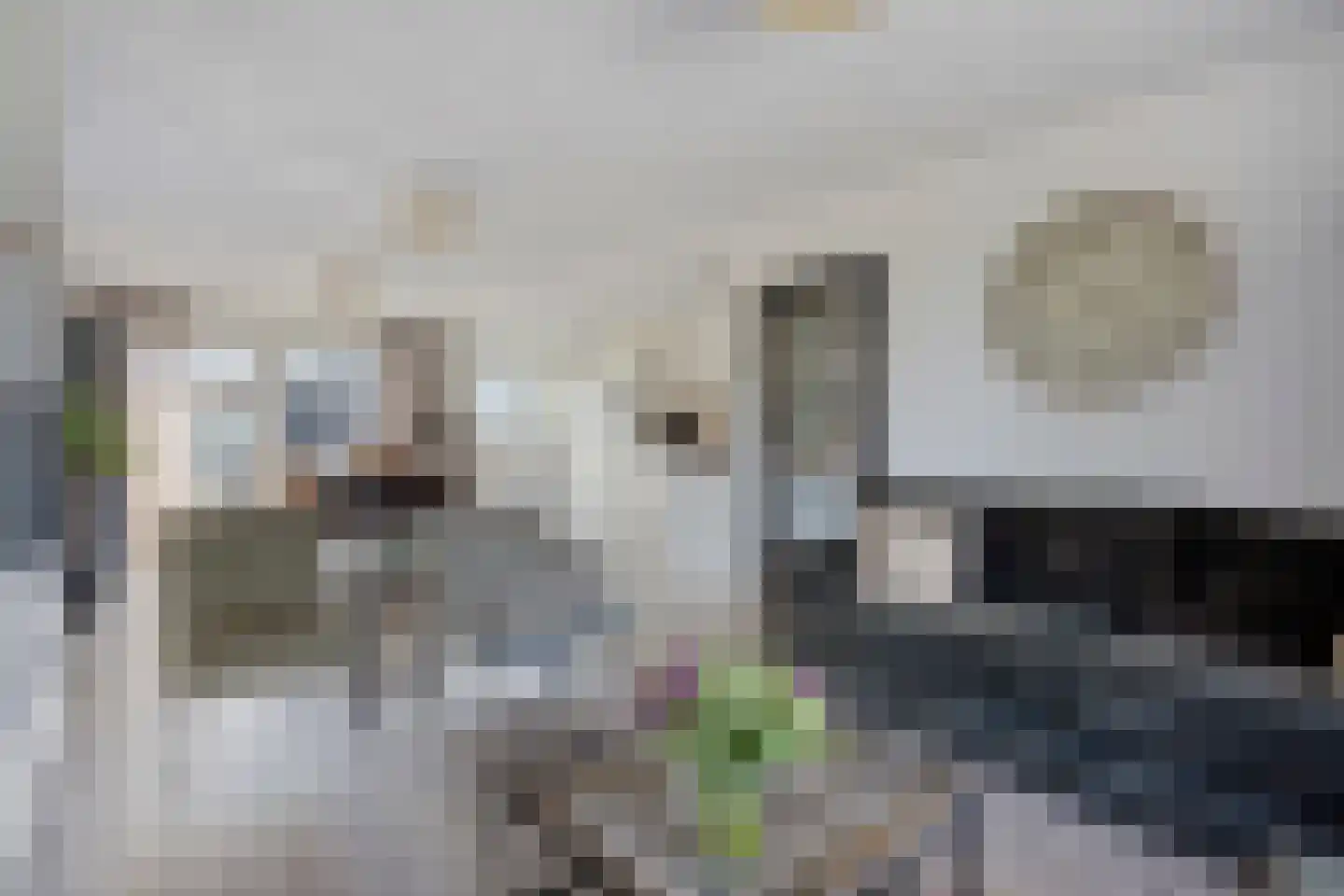 Kastanjelaan 80 Oosterhout thumbnail 7