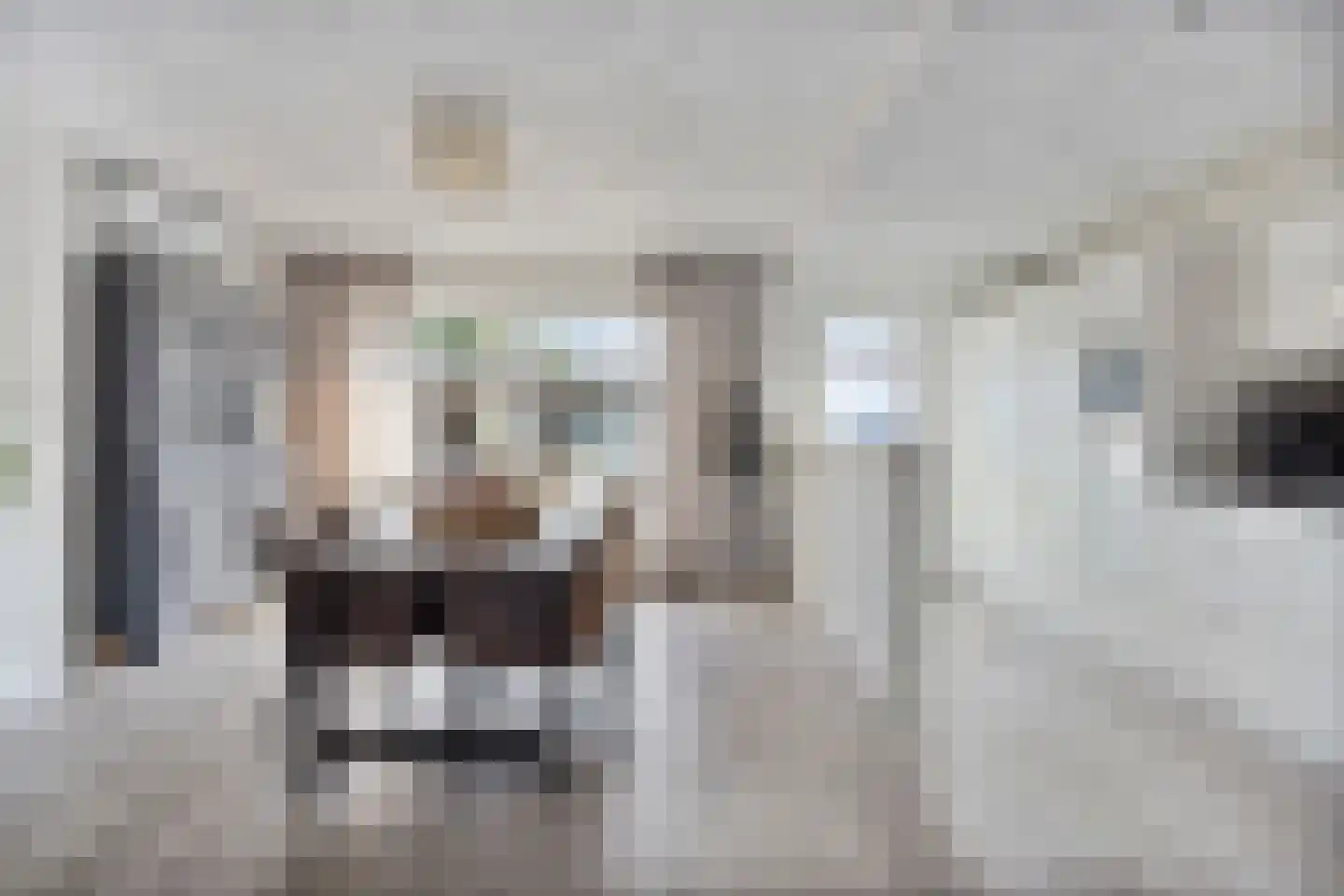 Kastanjelaan 80 Oosterhout thumbnail 8