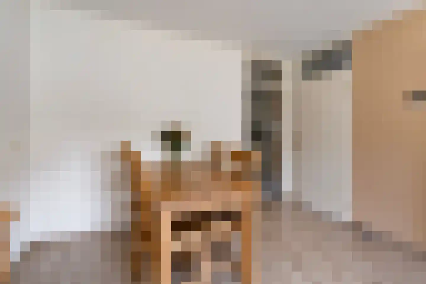 Kastanjelaan 81 Made thumbnail 11