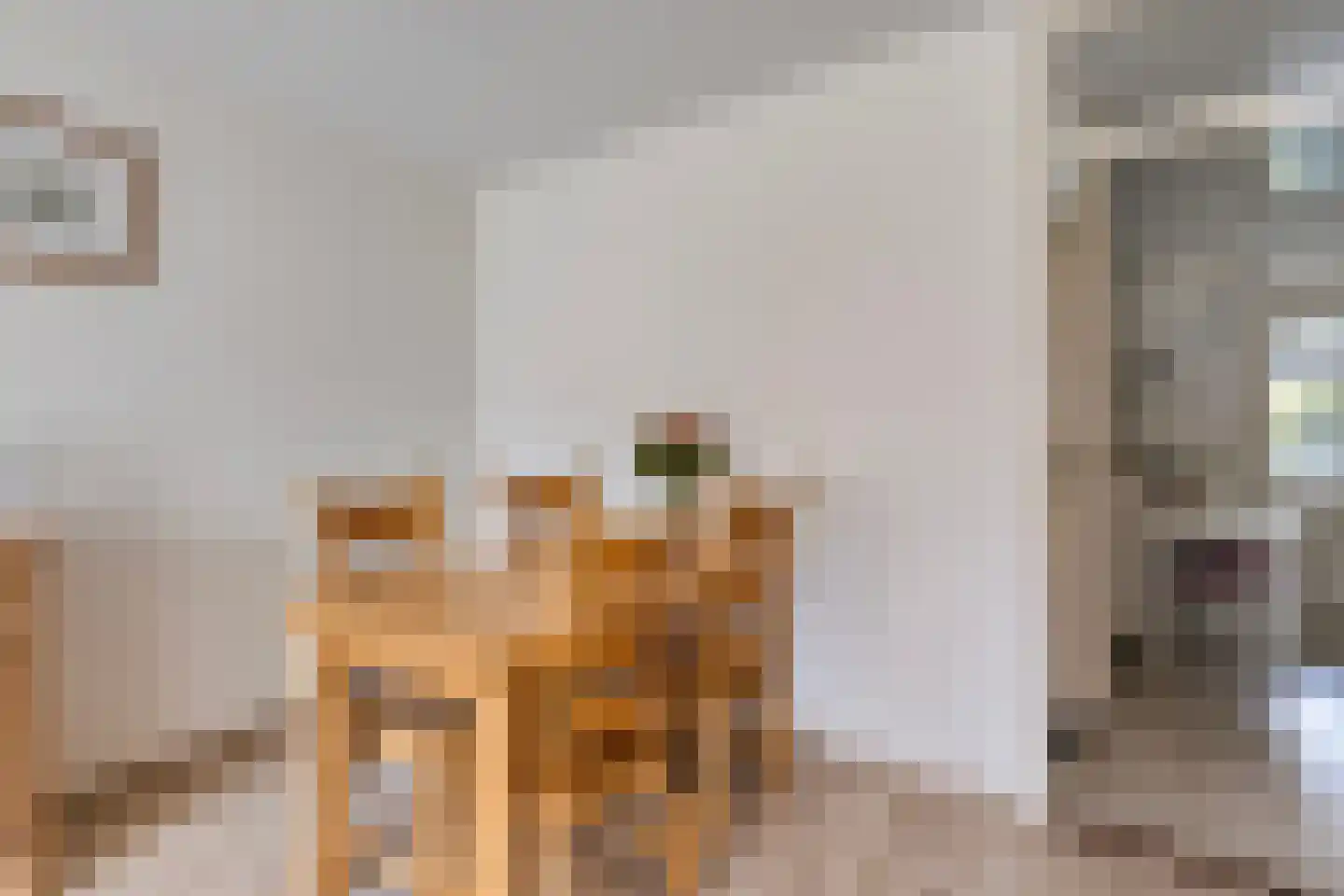Kastanjelaan 81 Made thumbnail 12