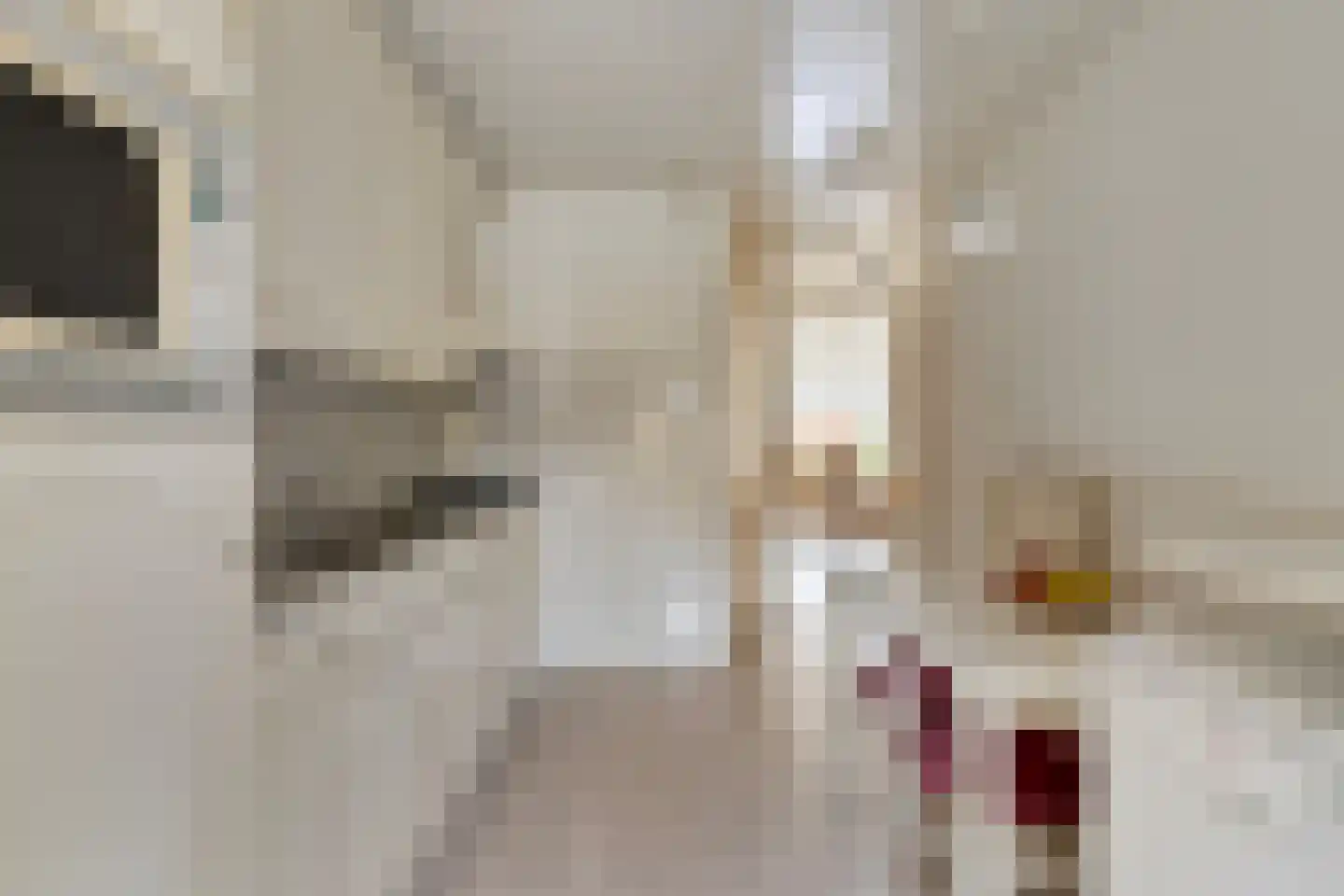 Kastanjelaan 81 Made thumbnail 19