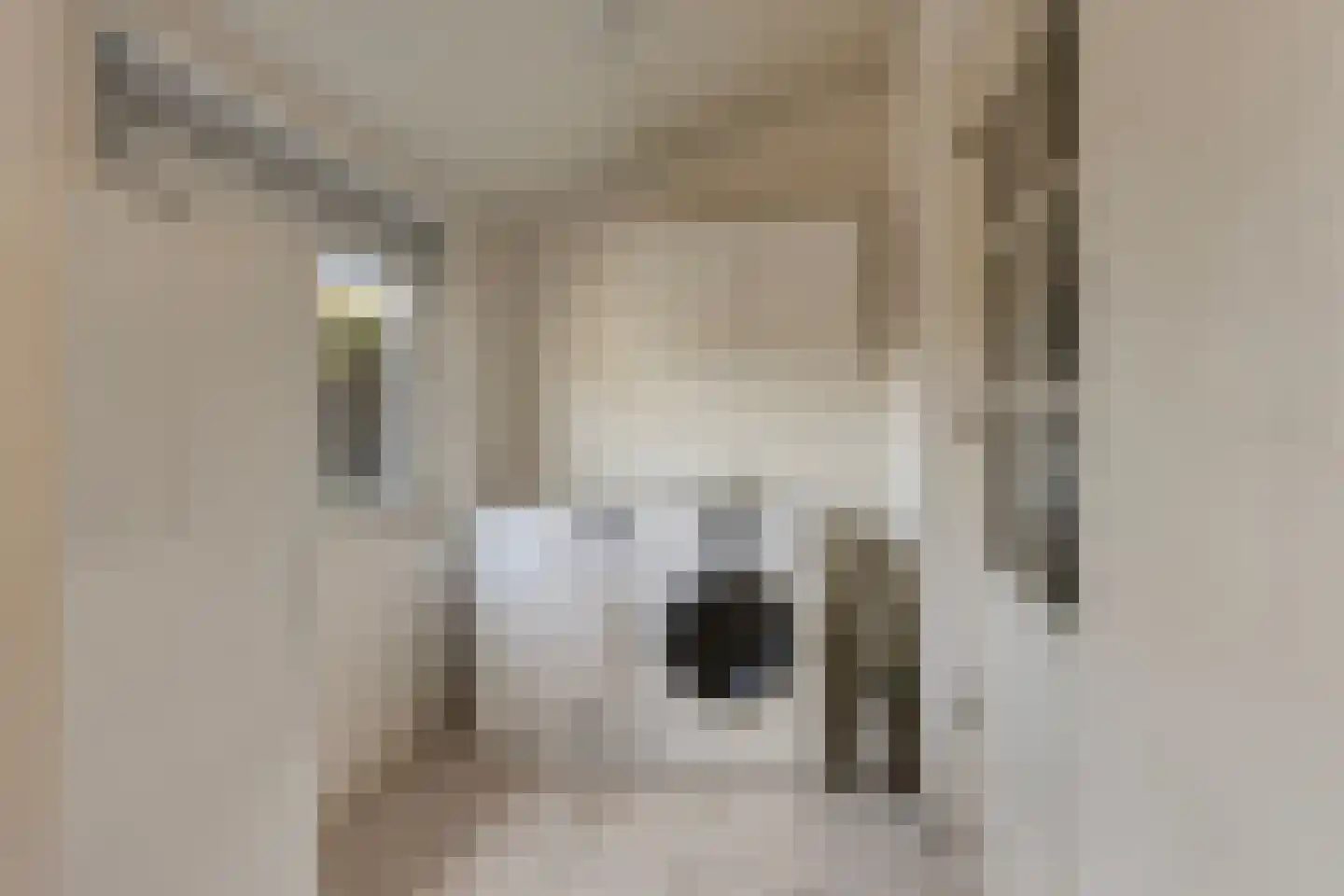 Kastanjelaan 81 Made thumbnail 20