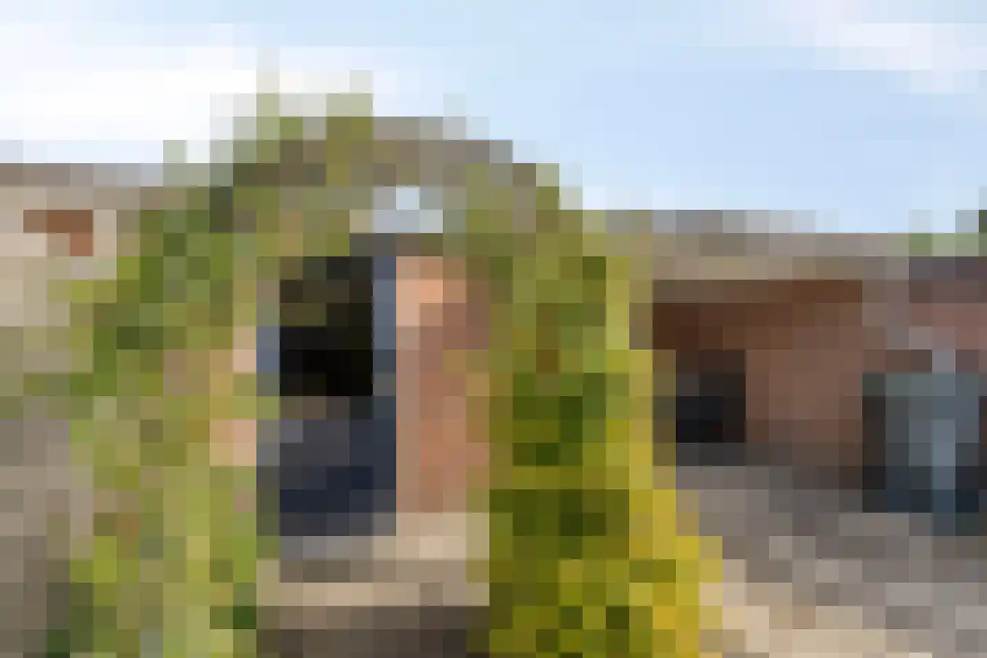 Kastanjelaan 81 Made thumbnail 33