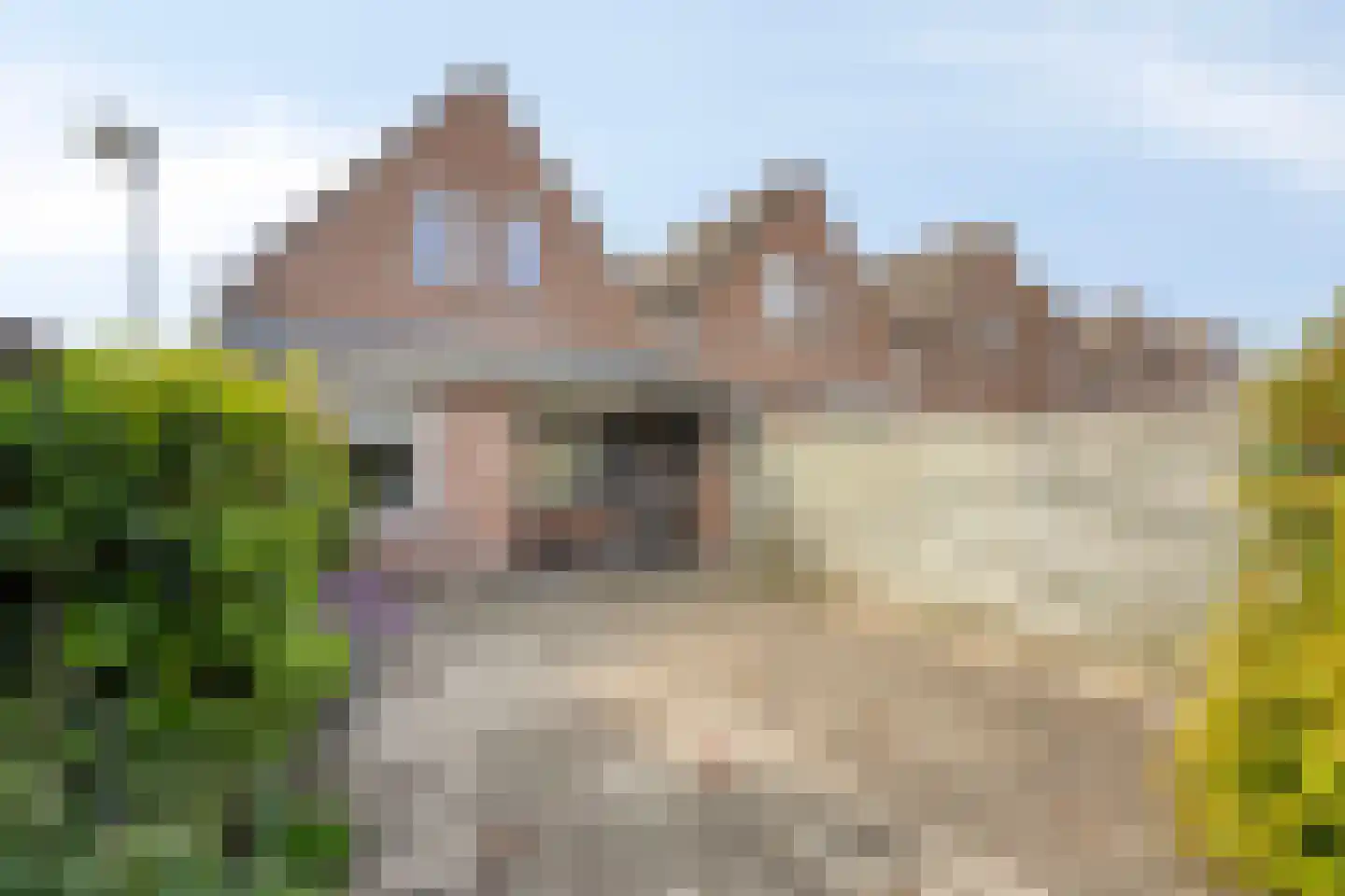 Kastanjelaan 81 Made thumbnail 35