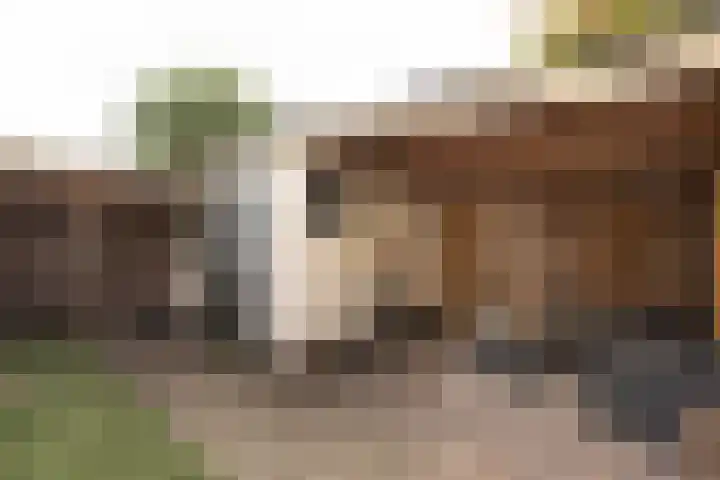 Kastanjelaan 9 Baarn thumbnail 23