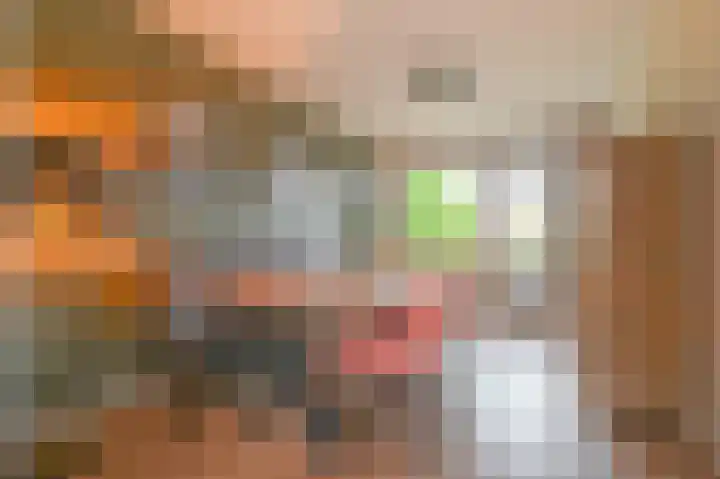 Kastanjelaan 9 Rijswijk thumbnail 13