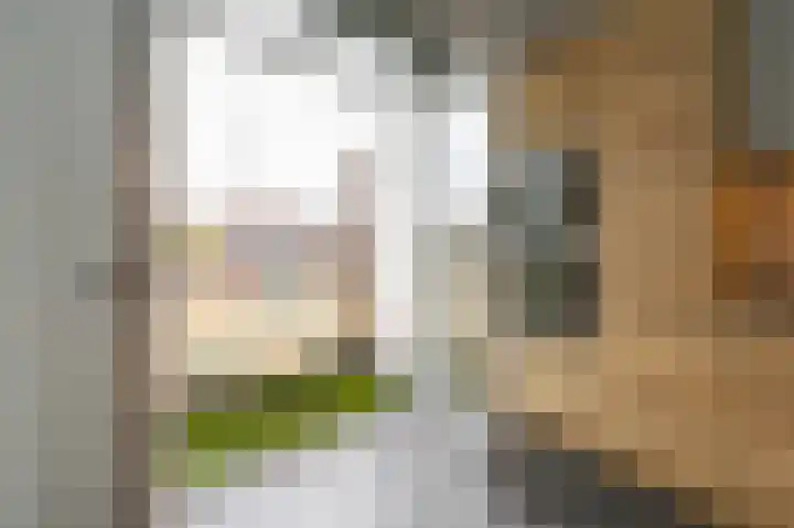 Kastanjelaan 9 Rijswijk thumbnail 21