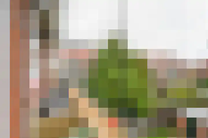 Kastanjelaan 9 Rijswijk thumbnail 22