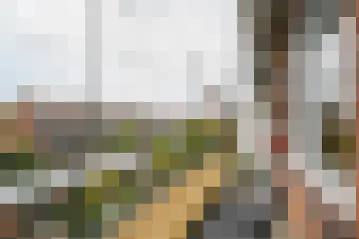 Kastanjelaan 9 Rijswijk thumbnail 23