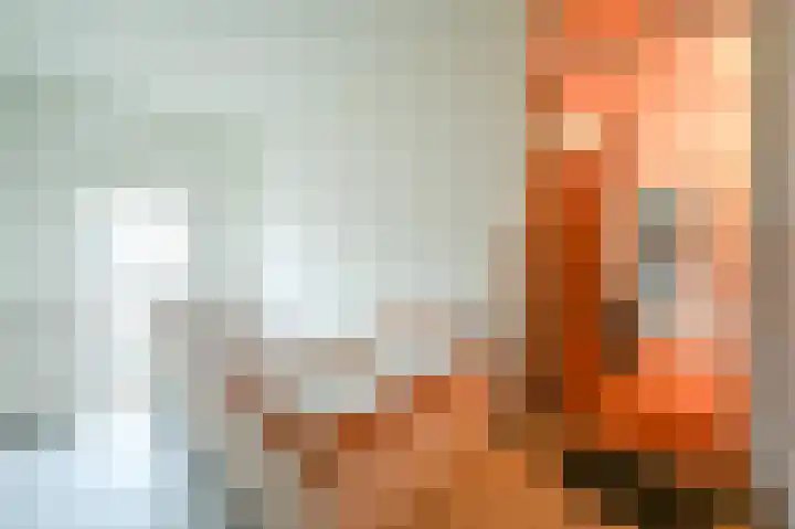 Kastanjelaan 9 Rijswijk thumbnail 6