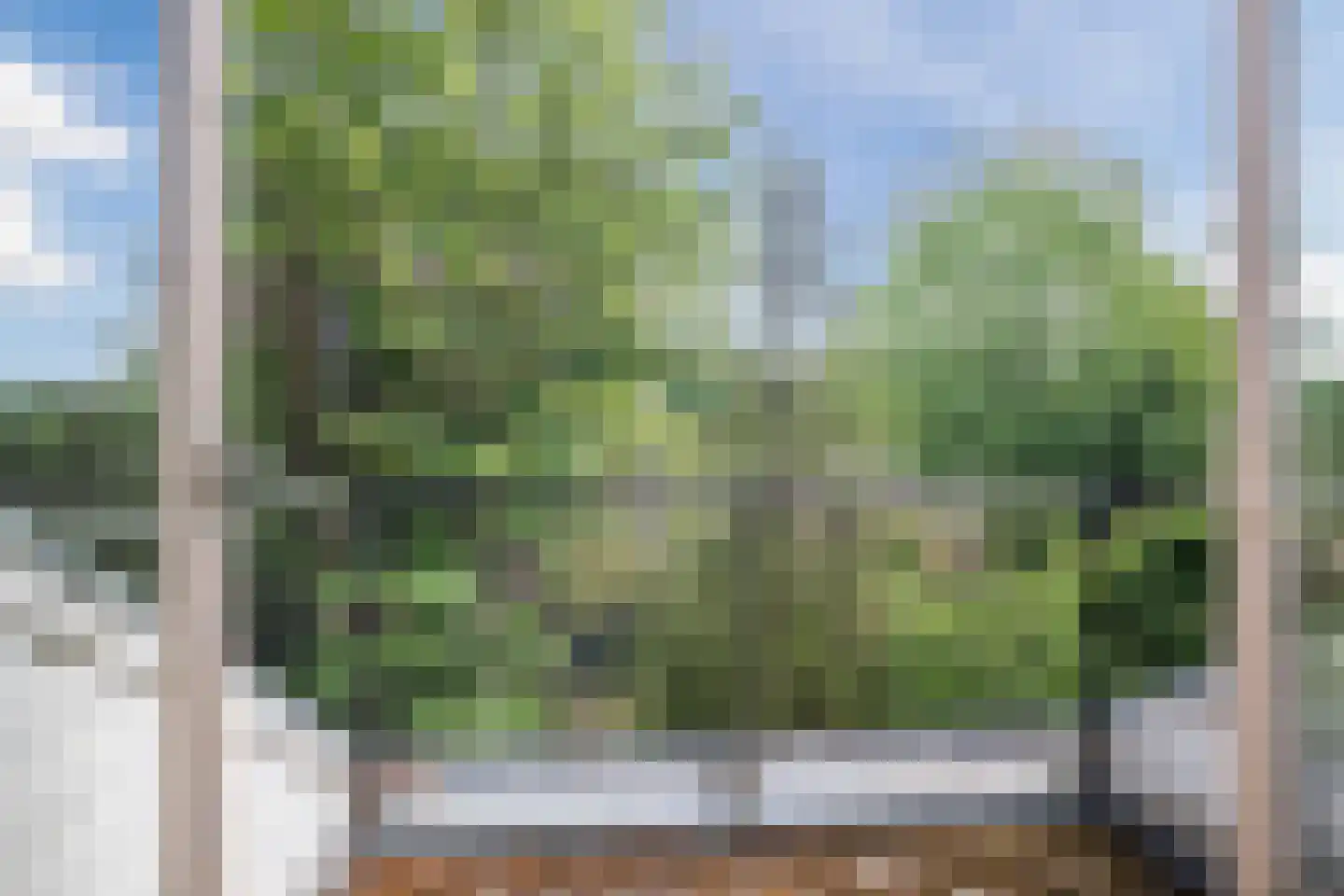 Kastanjelaan 9 Velp thumbnail 24