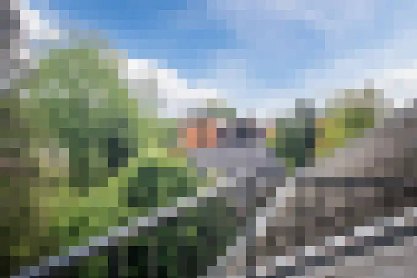 Kastanjelaan 9 Velp thumbnail 25