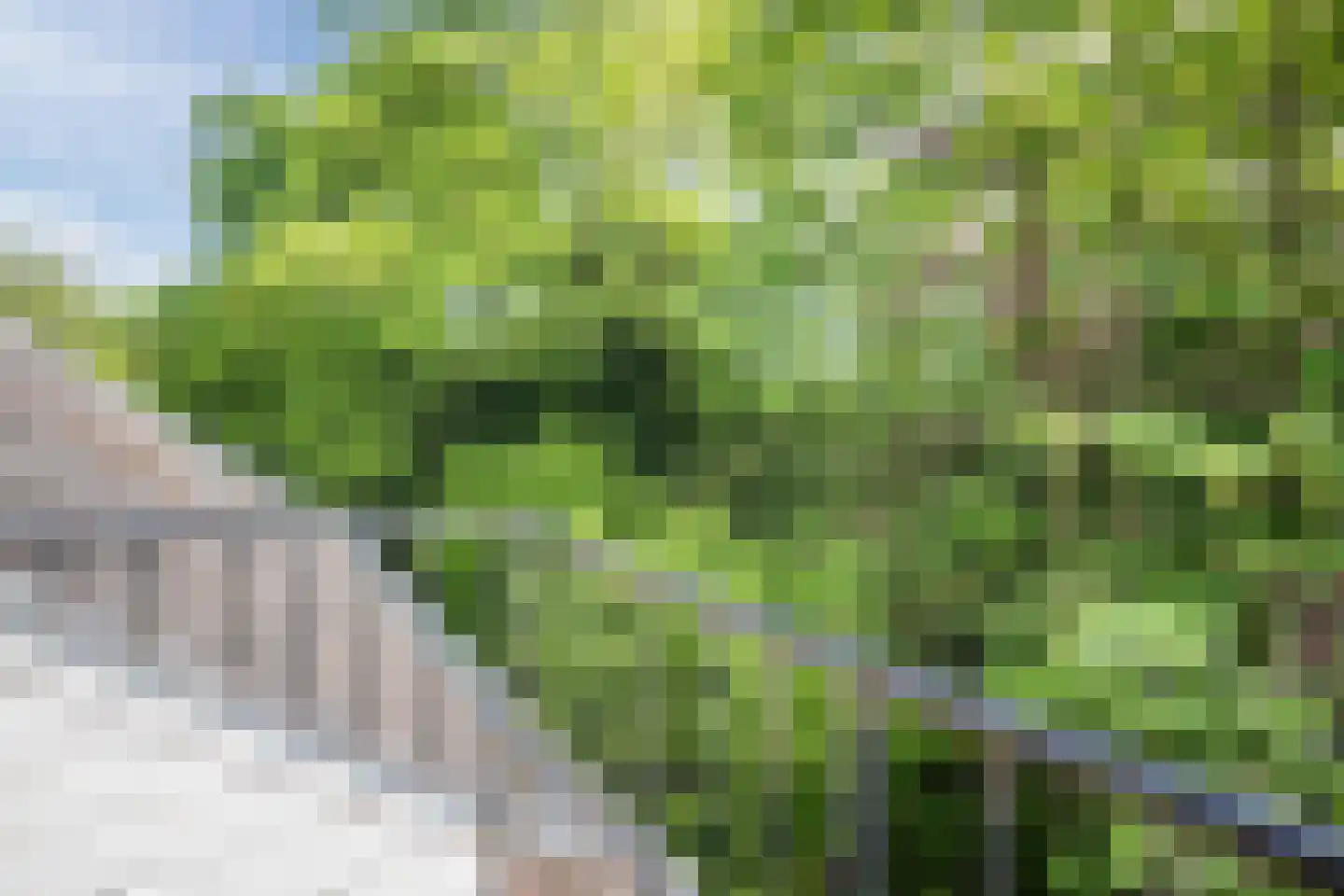 Kastanjelaan 9 Velp thumbnail 26