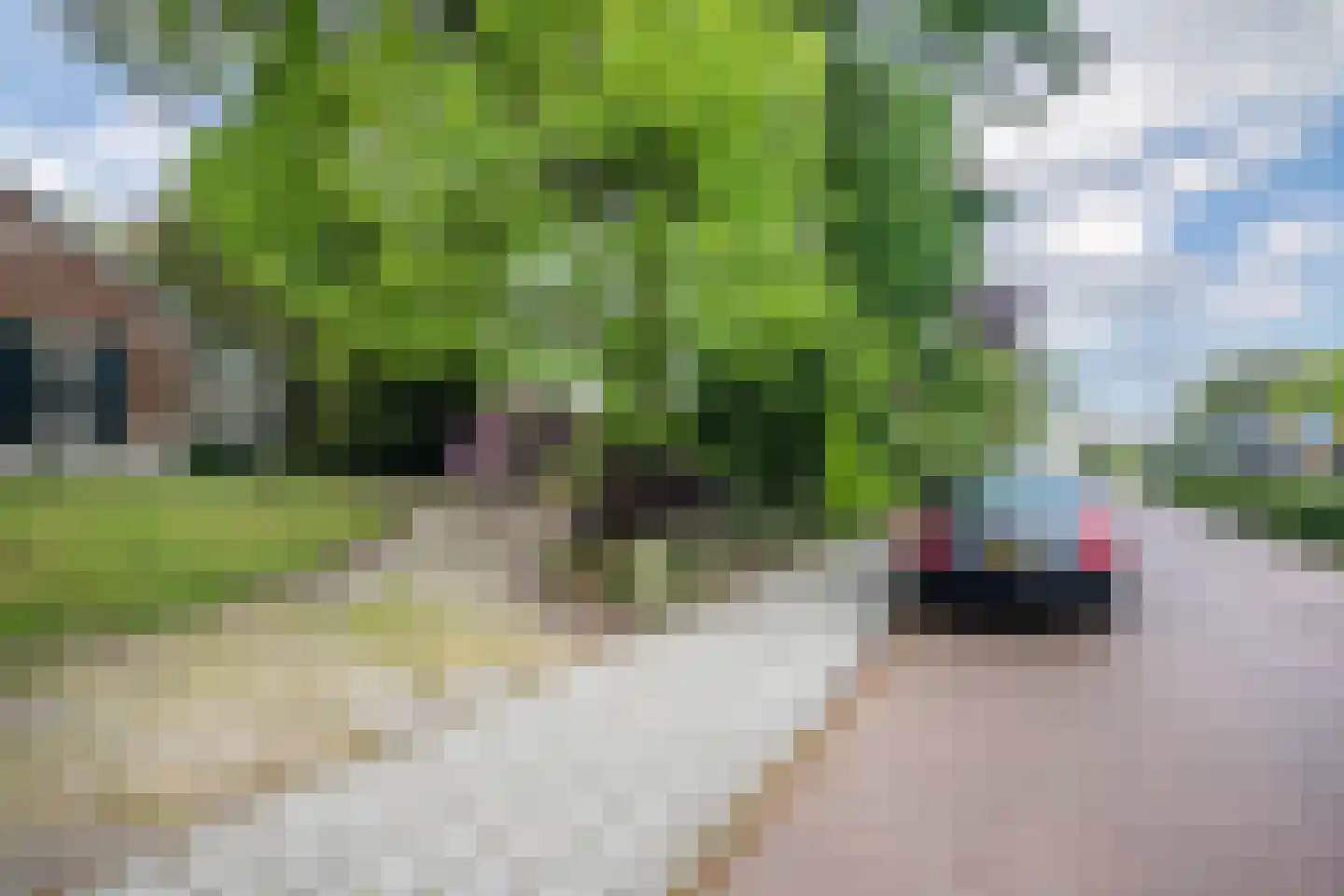 Kastanjelaan 9 Velp thumbnail 34