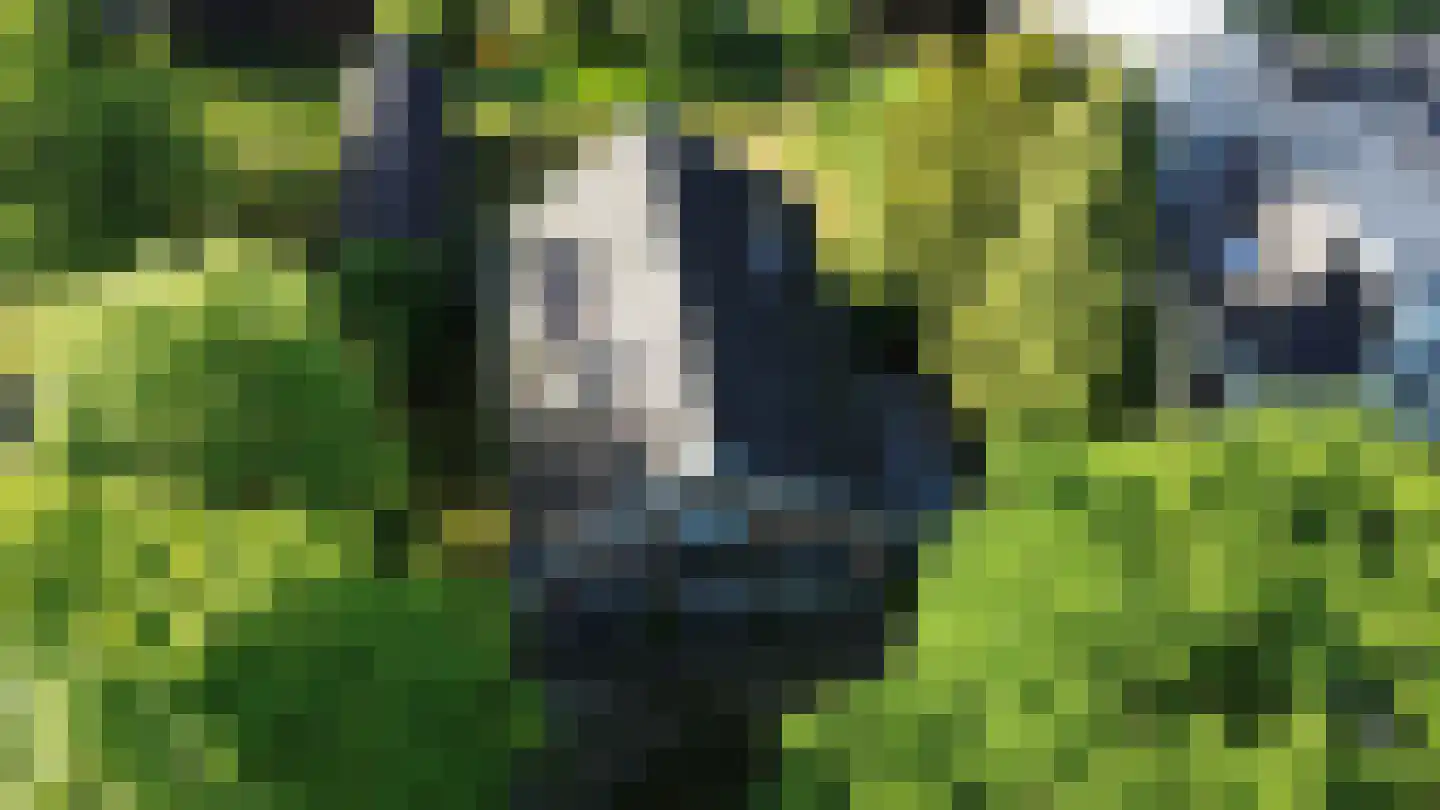 Kastanjelaan 9 Velp thumbnail 38