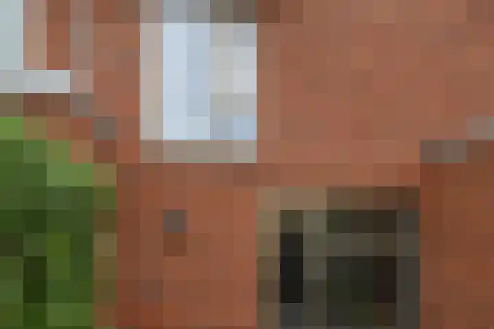 Kastanjelaan 9 Weesp thumbnail 19