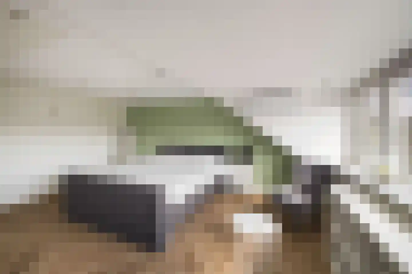 Kastanjelaan 9 Woerden thumbnail 29