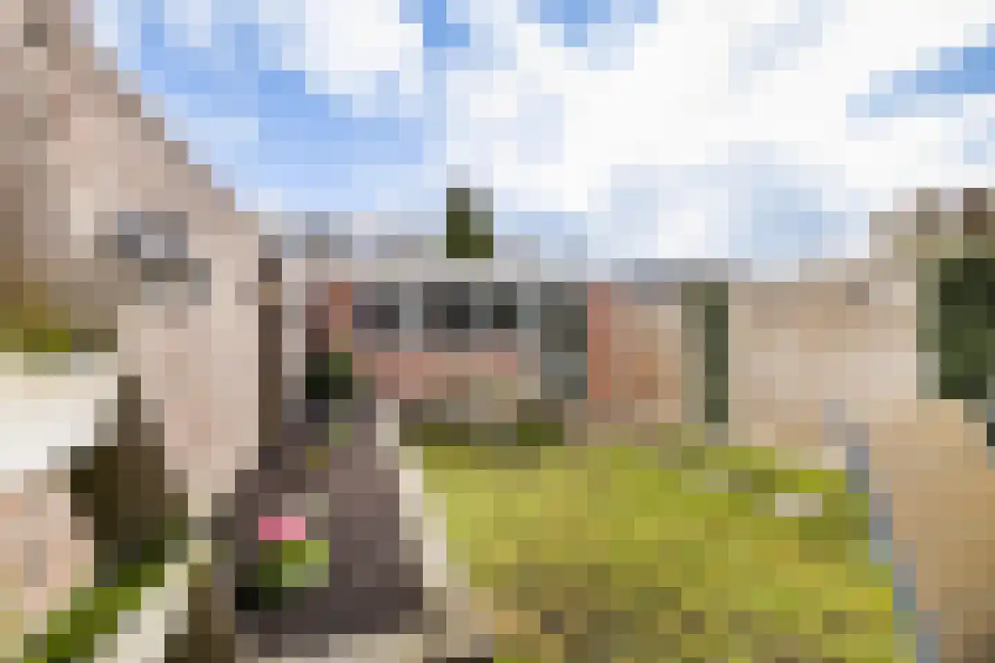 Kastanjelaan 9 Woerden thumbnail 35