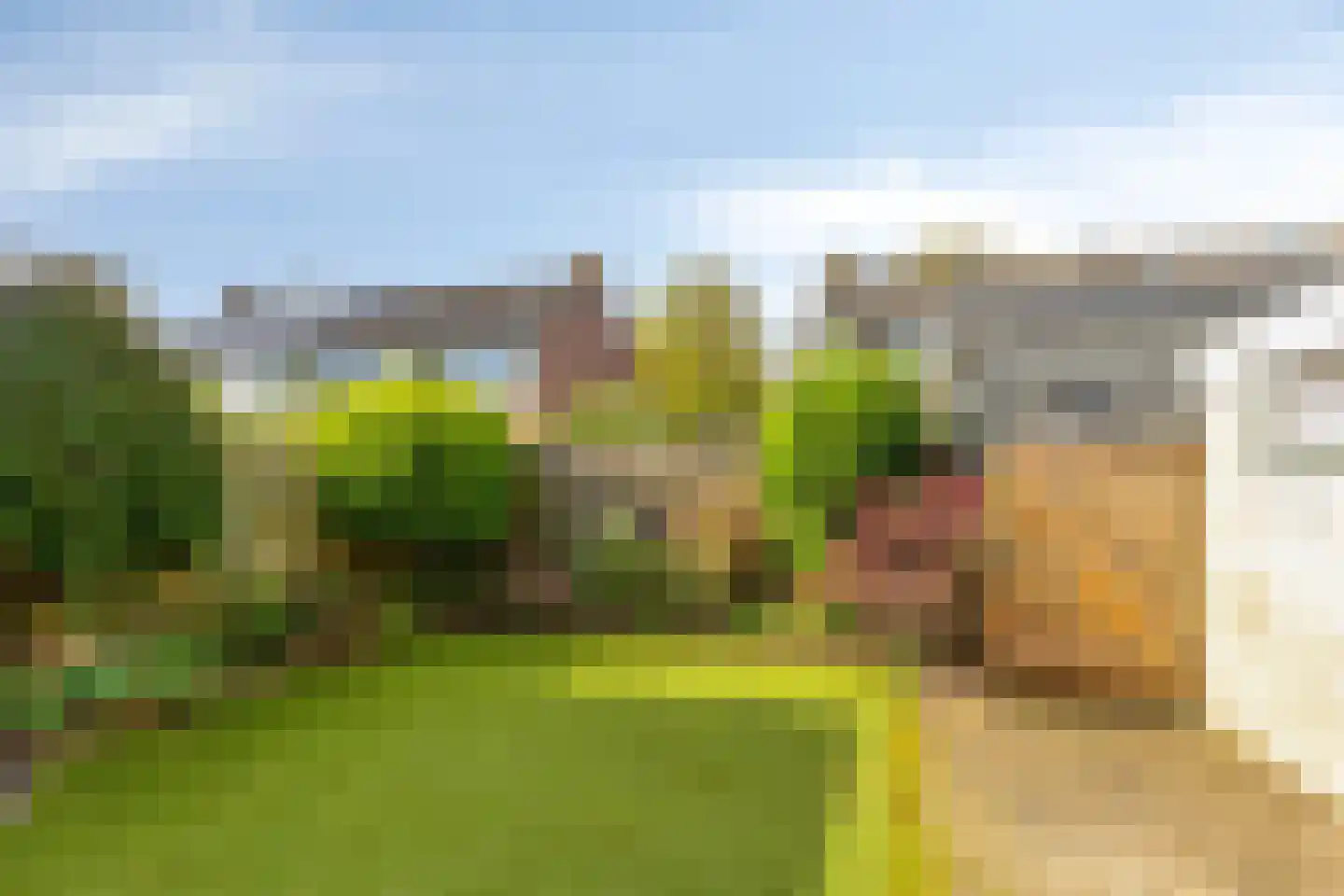 Kastanjelaan 9 Zuidlaren thumbnail 26
