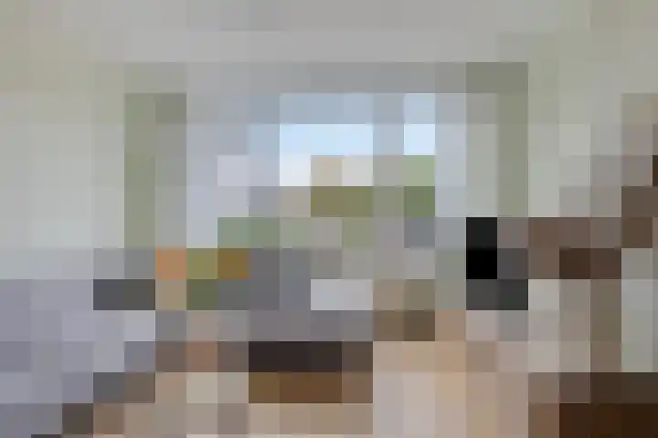 Kastanjelaan 99 Winschoten thumbnail 11