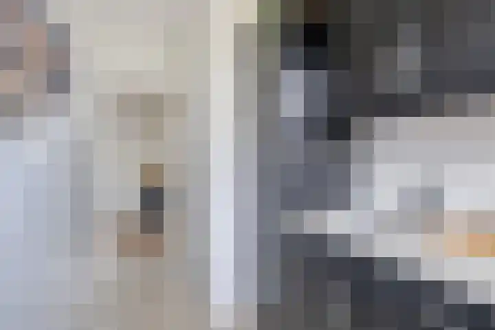 Kastanjelaan 99 Winschoten thumbnail 18