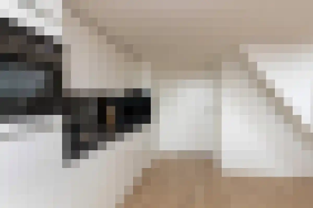 Kastanjelaan Eindhoven thumbnail 6