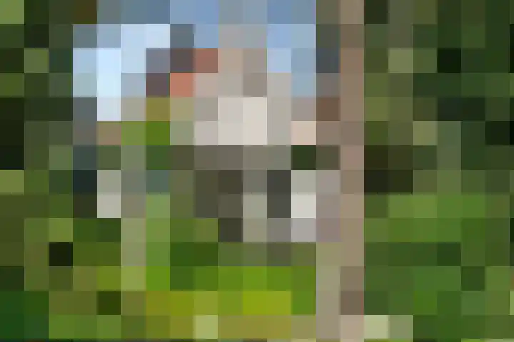 Kastanjelaan Oost 39 Lunteren thumbnail 4
