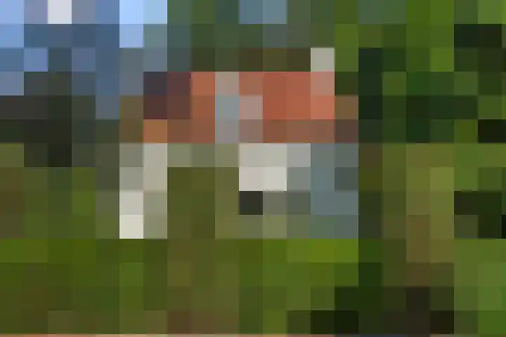 Kastanjelaan Oost 39 Lunteren thumbnail 5
