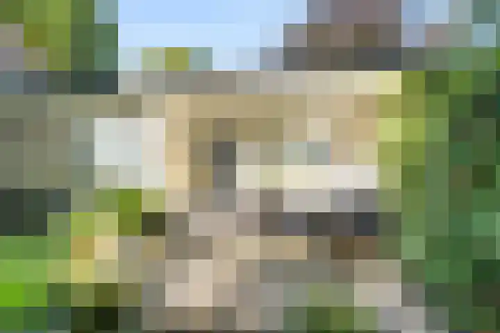 Kastanjelaan Oost 39 Lunteren thumbnail 51