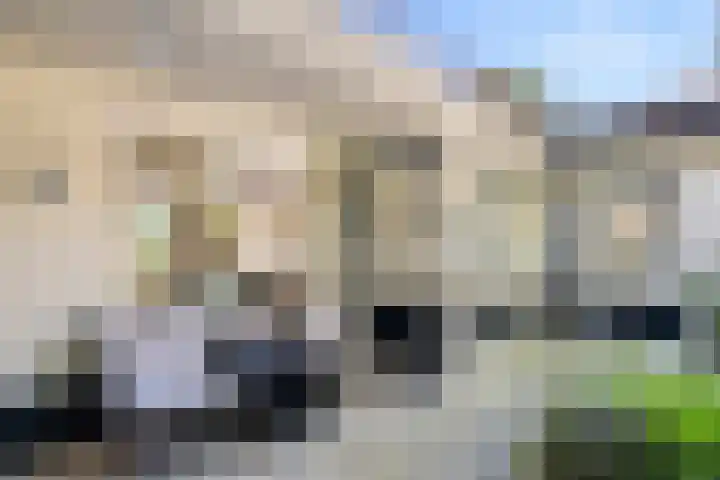 Kastanjelaan Oost 39 Lunteren thumbnail 52