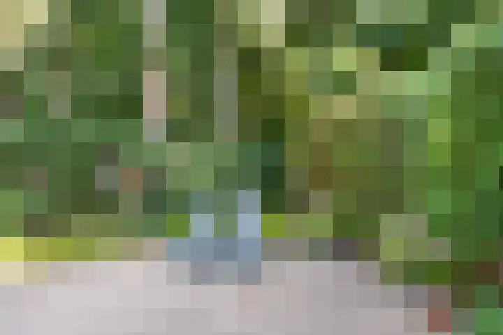 Kastanjelaan Oost 39 Lunteren thumbnail 53