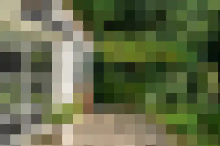 Kastanjelaan Oost 39 Lunteren thumbnail 57