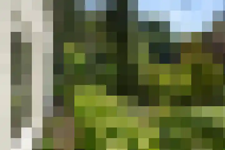 Kastanjelaan Oost 39 Lunteren thumbnail 61