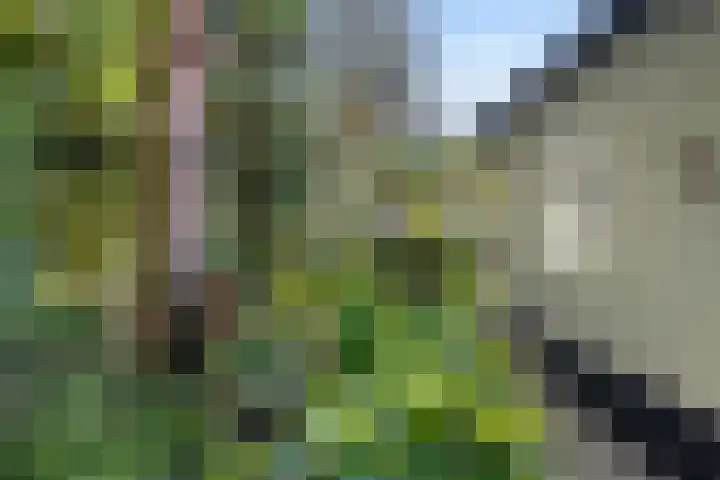 Kastanjelaan Oost 39 Lunteren thumbnail 63
