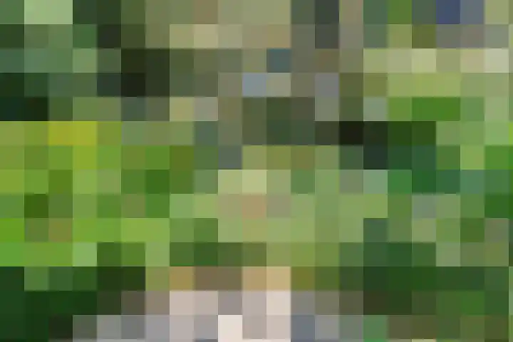 Kastanjelaan Oost 39 Lunteren thumbnail 64