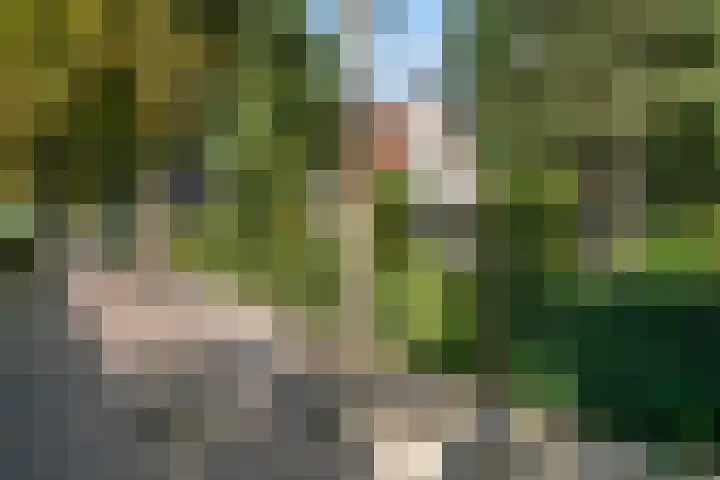 Kastanjelaan Oost 39 Lunteren thumbnail 67
