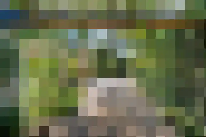 Kastanjelaan Oost 39 Lunteren thumbnail 7