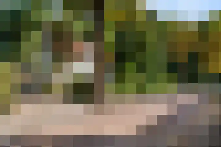 Kastanjelaan Oost 39 Lunteren thumbnail 74