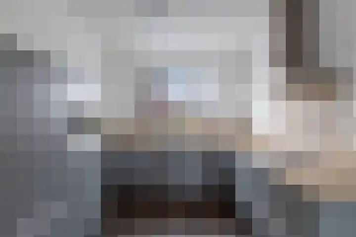 Kastanjeleane 14 Lemmer thumbnail 12