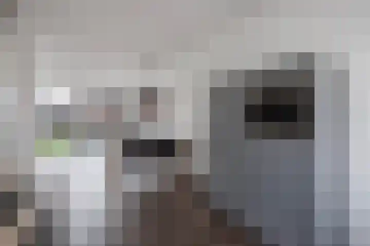 Kastanjeleane 14 Lemmer thumbnail 13