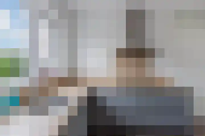 Kastanjeleane 14 Lemmer thumbnail 14