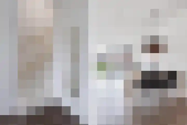Kastanjeleane 14 Lemmer thumbnail 15