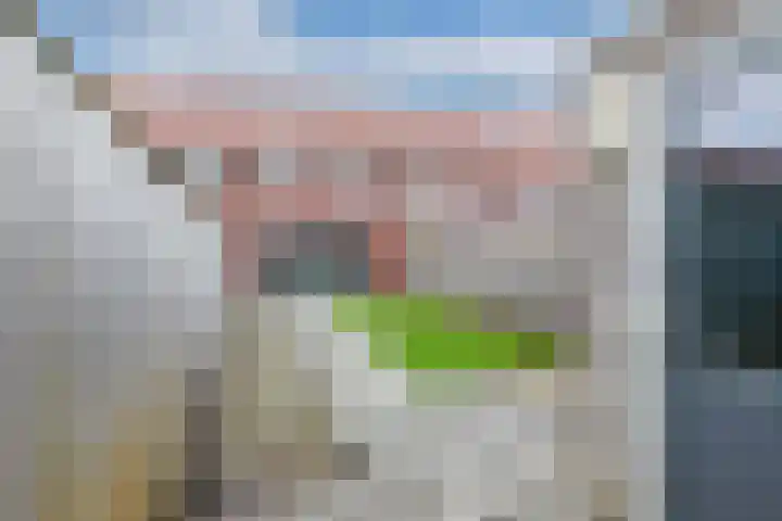 Kastanjeleane 14 Lemmer thumbnail 16
