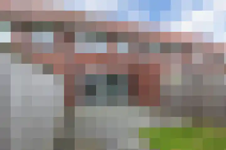 Kastanjeleane 14 Lemmer thumbnail 17