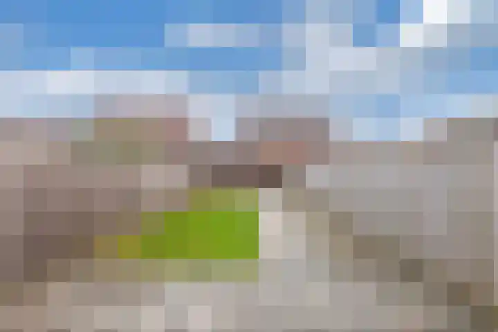 Kastanjeleane 14 Lemmer thumbnail 19