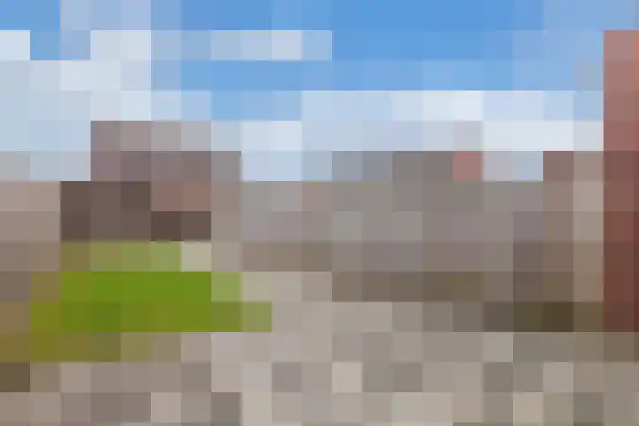 Kastanjeleane 14 Lemmer thumbnail 20